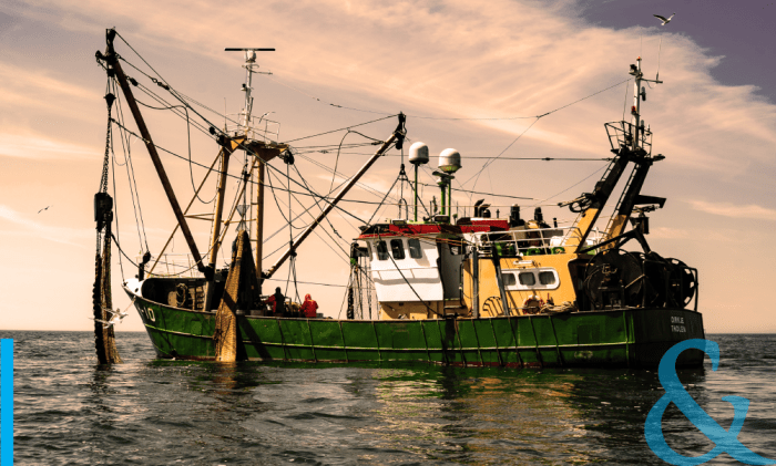 Maritime law firms south africa